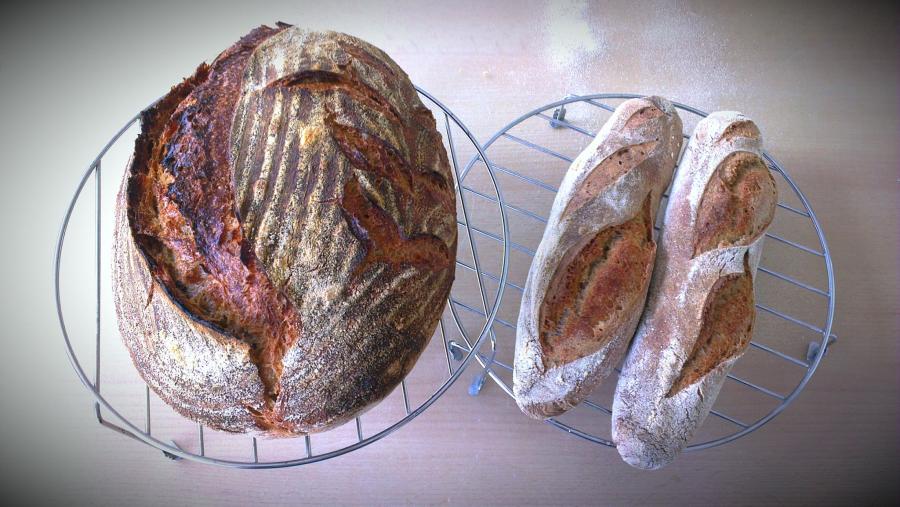 two breads