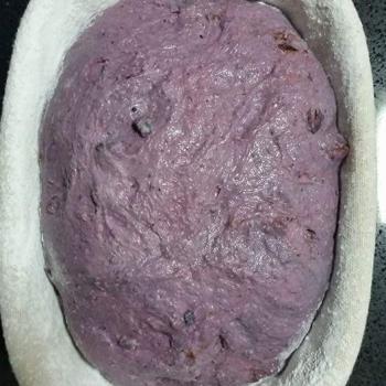 Ah Huat  Purple carrot fruity loaf first overview