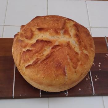 Alaskan Kaihanu D.P. Sourdough Bread first overview