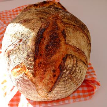 Betty San Fransisco bread with enkir flour first overview