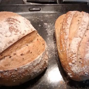 Catherine's Recovery Starter Sourdough loaf second overview