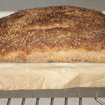 Clarice Whole Wheat Every Day Loaf first overview