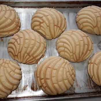 Conchita Conchas ( mexican sweet buns)  second overview