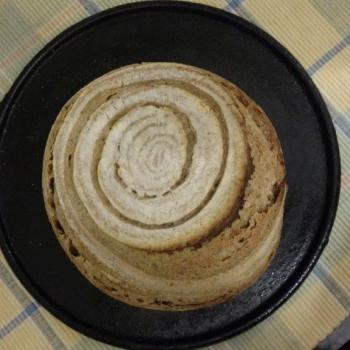 DOLI Bread first overview