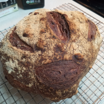 Excelsior! Walnut Whole Wheat Boule second overview