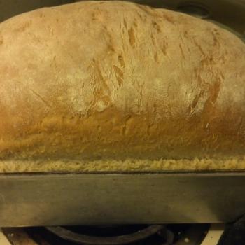 Feral Eldritch Sourdough Beer Bread first overview