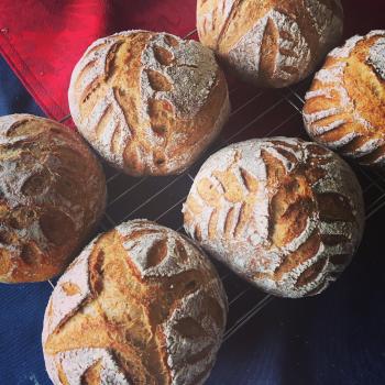 Franklin Deladough Riseavelt  Sourdough Bread first overview