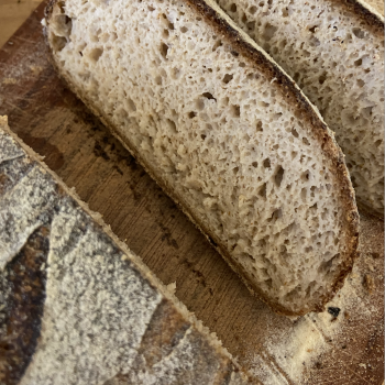 Glutenfreier Starter Brot first slice