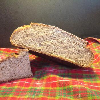 Hapa wheat Sample bakes second slice