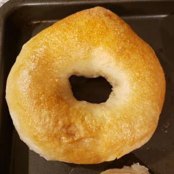 Her Hoochiness Bagels  first overview
