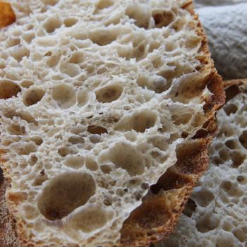 Hmizi all plain breads second overview