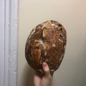 Ima Olive Rosemary Loaf first overview