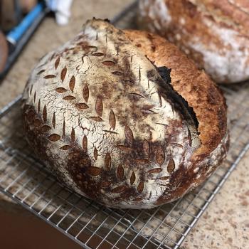 Ima Toasted fennel & spelt loaf first overview