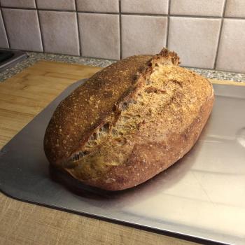 Kenobi Bread first overview