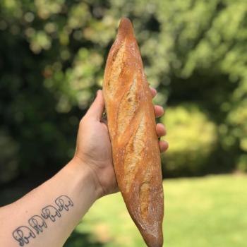 La Chilean Frenchie Baguettes first overview