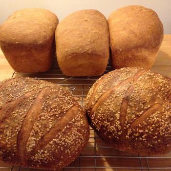 MacPike Family Starter MacPike Family Loaf Bread second overview