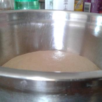 MADIRA 50 50 white flour and whole wheat dough pics second slice