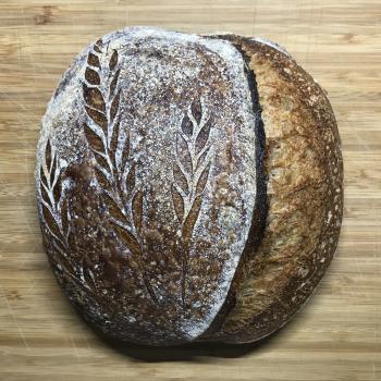 Minion Sourdough Whole Wheat first overview