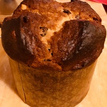 NoName Panettone first overview