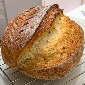 panettoneseed Sourdough bread second overview