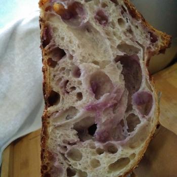 Pluto  Sourdough bread with purple sweet potato  first slice