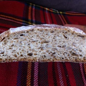 Prunus Breads second overview