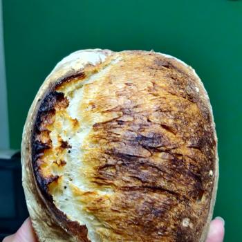 Shakal Sourdough Loaf Batard first overview