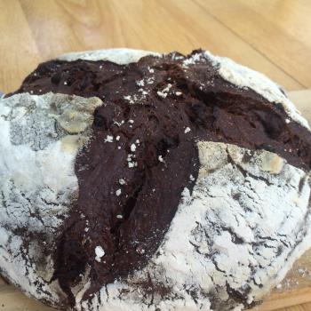 Solveig Chocolate sourdough first overview