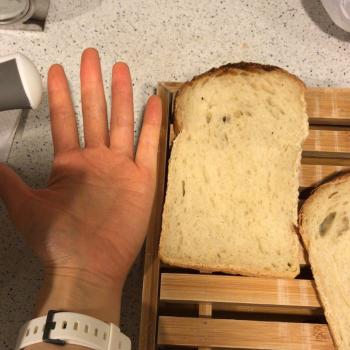 Sophia Sandwich bread first slice