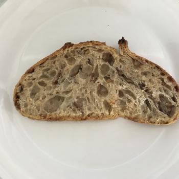 Sophia walnut spelt t80 sourdough loaf first slice