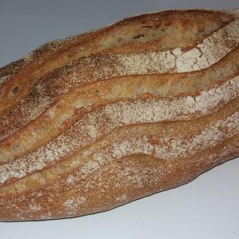 Spelt Sourdough Bread first overview