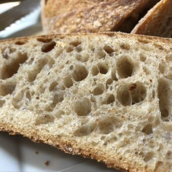 Starter Sourdough breads second overview