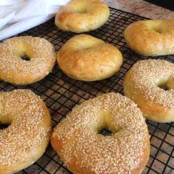 Symphony Honey Egg Bagels first overview