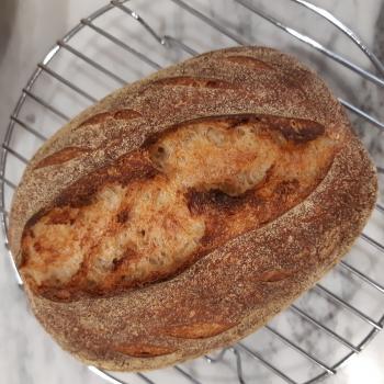 V9 Einkorn Bread first overview