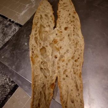 Wheat sourdough/Zakwas pszenny levain "Piskorek" Bagietka francuska/French baguette second overview