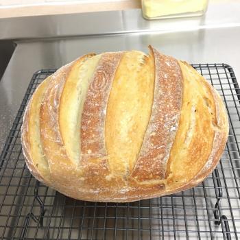 Wheatbelt Fester Round Bread second overview