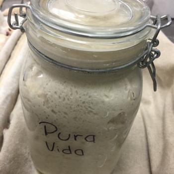 PURA VIDA MAE jar shot